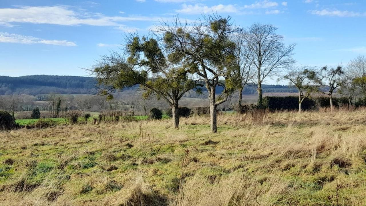 Gite Cottage Chaleureux En Pleine Campagne Vue Sur Les Monts Et Forets Et Le Chateau De Carrouges Exteriör bild